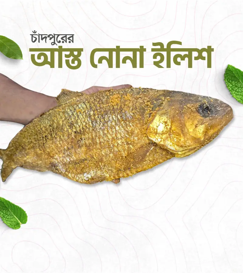 চাঁদপুরের আস্ত নোনা ইলিশ – 1 পিস